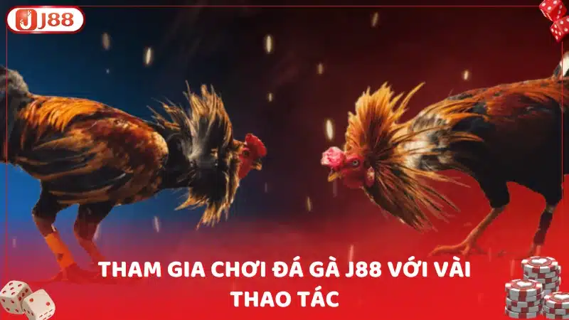 Tham gia chơi đá gà J88 với vài thao tác